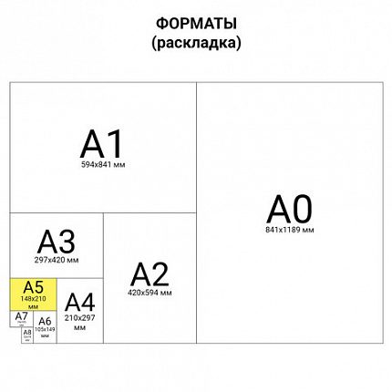 Тетрадь на кольцах А5 160х215 мм, 80 л., пластик, клетка, BRAUBERG, "Салатовый", 403250