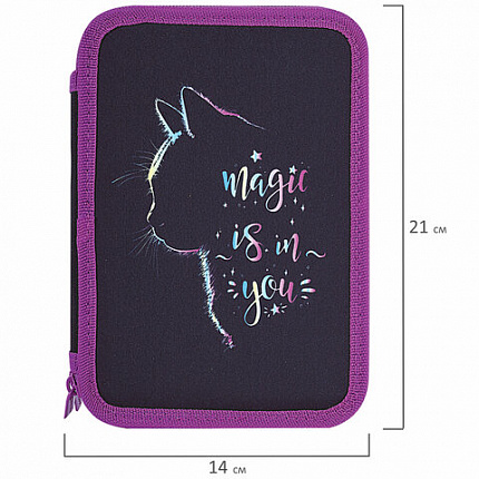 Пенал BRAUBERG, 2 отделения, полиэстер, 21х14 см, "Magic Cat", 271542