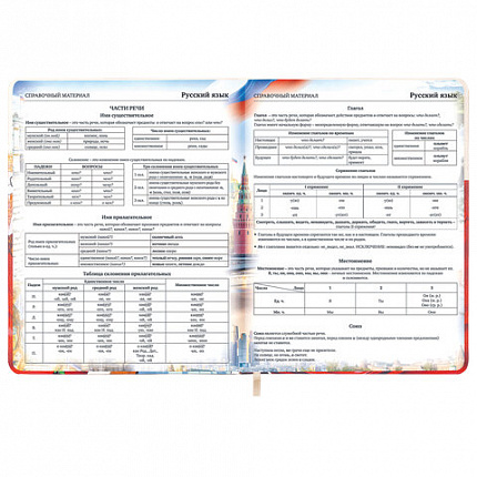 Дневник 1-11 класс 48 л., кожзам (твердая), печать, цветной блок, BRAUBERG, "Великие Люди", 107232