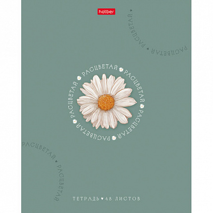 Тетрадь А5 48л. HATBER скоба, клетка, Soft-touch ламинация, тиснение, Нежное очарован, 48Т5лтВ1