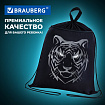 Мешок для обуви BRAUBERG, с петлёй, карман на молнии, 47х37 см, "Тигр", 271610