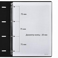 Тетрадь на кольцах БОЛЬШАЯ А4 (240х310 мм), 120 л., под кожу, BRAUBERG VISTA, "Туман", 404515