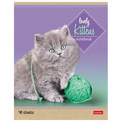 Тетрадь А5, 48 л., HATBER, скоба, линия, обложка картон, "КОТЯТА" (микс в спайке), 047012, 48Т5В2