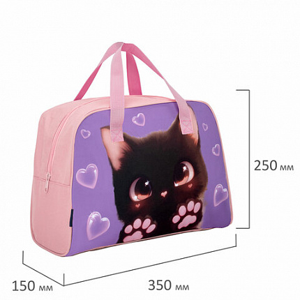 Сумка для занятий BRAUBERG с ручками, 35x25x15 см, "Paw prints", 273289