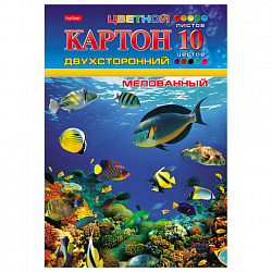 Картон цветной А4 2-сторонний МЕЛОВАННЫЙ, 10л. 10цв, в папке, HATBER, 195х280мм Подво, 10Кц4_04109