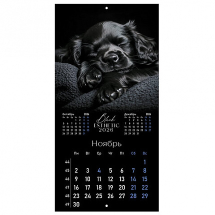 Календарь настенный перекидной 2026г, BRAUBERG, 12 листов, 28,5х28,5см, Black esthetic, 116927