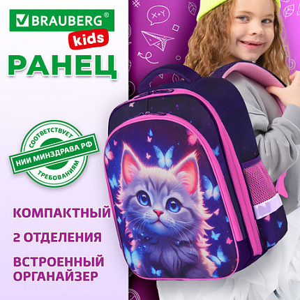 Ранец BRAUBERG KIDS STANDARD, 2 отделения, Curious cat, 36х28х14 см, 273145