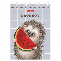 Блокнот МАЛЫЙ ФОРМАТ А7, 40 л., гребень, картон, клетка, HATBER, "Хорошо быть ёжиком", 081183, 40Б7В1гр