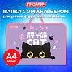 Папка для труда на молнии с ручками ПИФАГОР А4, 1 отделение, пластик, органайзер, "Наблюдательный кот", 274538