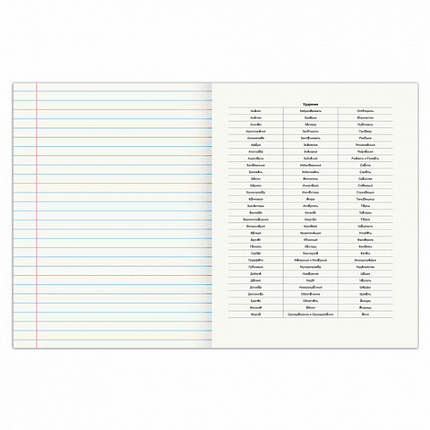 Тетрадь предметная SPORT CLUB 48л, обложка картон, РУССКИЙ ЯЗЫК, линия, подсказ, BRAUBERG, 404803