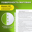 Папки-файлы перфорированные, А4, STAFF "ЭКОНОМ", КОМПЛЕКТ 100 шт., матовые, 45 мкм, 226832