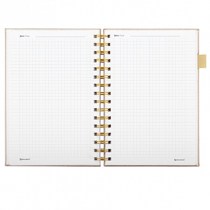 Бизнес-тетрадь на гребне А5 148х216 мм, BRAUBERG "Calipso" под кожу, резинка, клетка, 80 л., бежевый, 116254