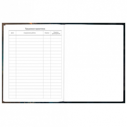 Дневник 5-11 класс 48 л., гибкая обложка, BRAUBERG, глянцевая ламинация, с подсказом, "Cat", 107181