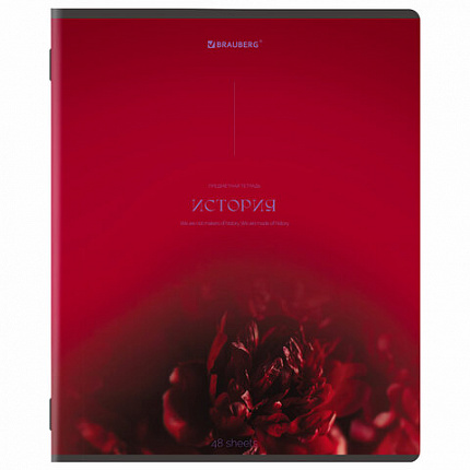 Тетради предметные, КОМПЛЕКТ 13 ПРЕДМЕТОВ, 48 л., SoftTouch, BRAUBERG "PEACEFUL", 405182