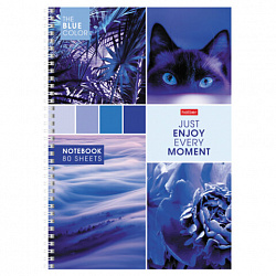 Тетрадь А4 80 л., HATBER, гребень, клетка, обложка картон, "Калейдоскоп Моментов" (микс в спайке), 083174, 80Т4В1гр