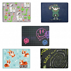 Обложка для удостоверения, пропуска, студенческого билета АССОРТИ, 77х214 мм, принт, кожзаменитель, ДПС, 6000