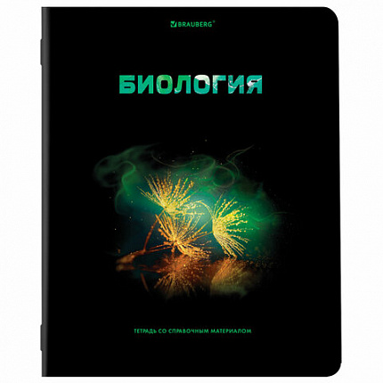 Тетради предметные, КОМПЛЕКТ 12 ПРЕДМЕТОВ, 48 л., глянцевый УФ-лак, BRAUBERG, "SHADE", 404324
