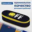 Пенал-футляр BRAUBERG, 1 отделение, органайзер, полиэстер, 22x9x5 см, "Без улыбки", 271587