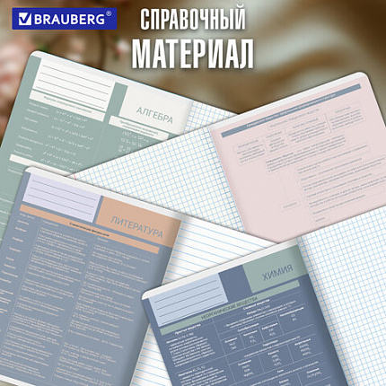 Тетради предметные, КОМПЛЕКТ 12 ПРЕДМЕТОВ 48 л., пластиковая обложка, BRAUBERG "MonoPastel", 405540
