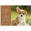Альбом для рисования А4 40 л., спираль, обложка картон, HATBER, 205х290 мм, "Doggie-Щенки" (4 вида), 067478, 40А4Всп