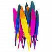 Перья декоративные прямые, 10-15 см, 24 шт., 6 цветов, двухцветные, ассорти, ОСТРОВ СОКРОВИЩ, 661381