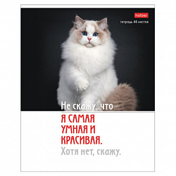 Тетрадь А5 48 л., HATBER скоба, клетка, обложка картон, "Котоюмор" (микс в спайке), 079790, 48Т5В1