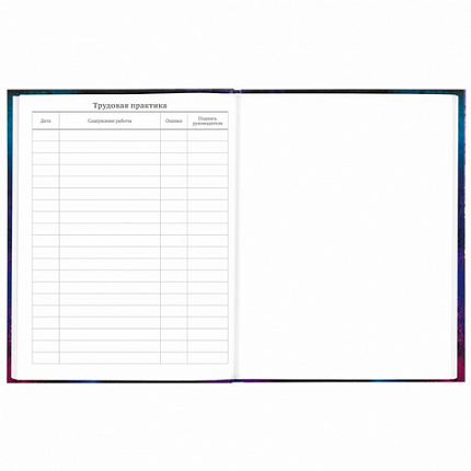 Дневник 5-11 класс 48 л., твердый, BRAUBERG, глянцевая ламинация, с подсказом, "Space cat", 106865