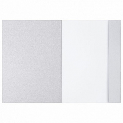 Папка для рисования А4, 20 л., 160 г/м2, BRAUBERG, 210х297 мм, "Орел", 125230