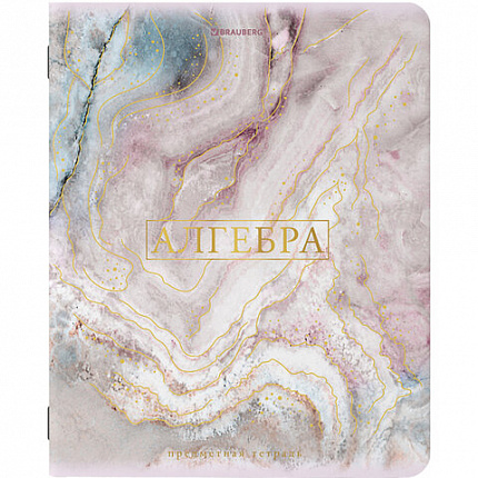 Тетради предметные со справочным материалом, КОМПЛЕКТ 10 ПРЕДМЕТОВ, 48 л., SoftTouch, фольга, BRAUBERG, "PASTEL", 404031