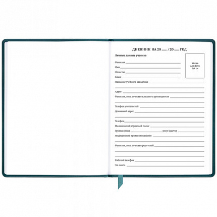 Дневник 1-11 класс 48 л., кожзам (твердая), печать, резинка, конверт, BRAUBERG, "Bright Lion", 106577