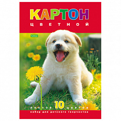 Картон цветной А4 МЕЛОВАННЫЙ, 10 листов 10 цветов, в папке, HATBER ECO, 195х290 мм, "Белый щенок", 043288, 10Кц4_03414