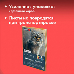 Бумага для пастели АБРАЗИВНАЯ А3 в коробке, 40 листов 10 цветов, 240 г/м2, BRAUBERG ART, 117768