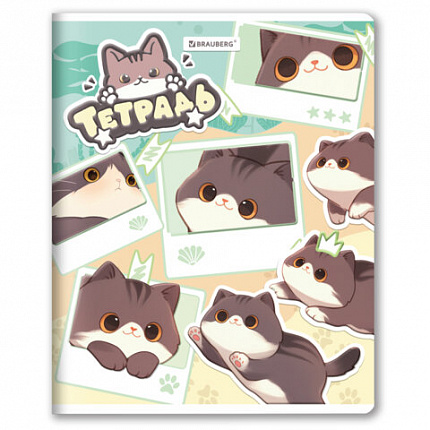 РЕЗЕРВ Тетрадь А5 48л. BRAUBERG МИЛЫЕ КОТЫ скоба, клетка, выборочный лак, 405193