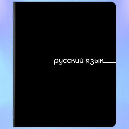 Тетради предметные, КОМПЛЕКТ 12 ПРЕДМЕТОВ, 48 л., обложка картон, BRAUBERG "BLACK", 405164