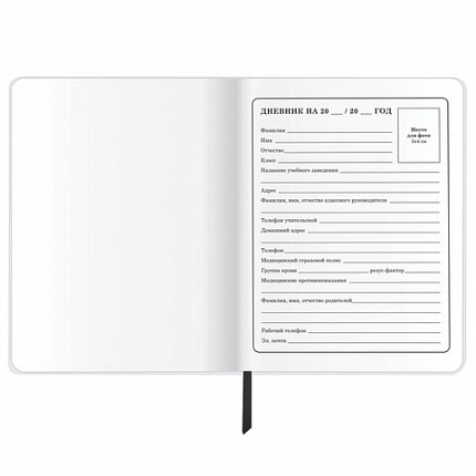 Дневник 1-4 класс 48 л., кожзам (гибкая), печать, фольга, ЮНЛАНДИЯ, "Football", 106159