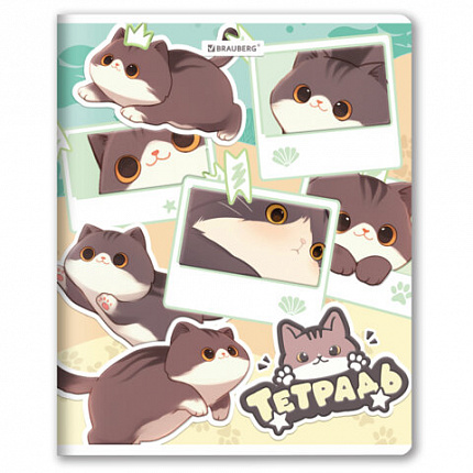 РЕЗЕРВ Тетрадь А5 48л. BRAUBERG МИЛЫЕ КОТЫ скоба, клетка, выборочный лак, 405193