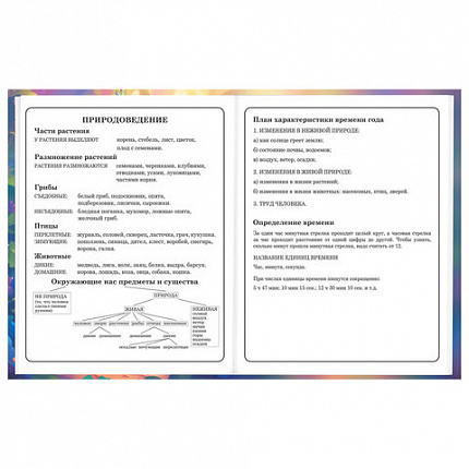 Дневник 1-4 класс 48 л., твердый, BRAUBERG, глянцевая ламинация, с подсказом, "Милашки", 107157