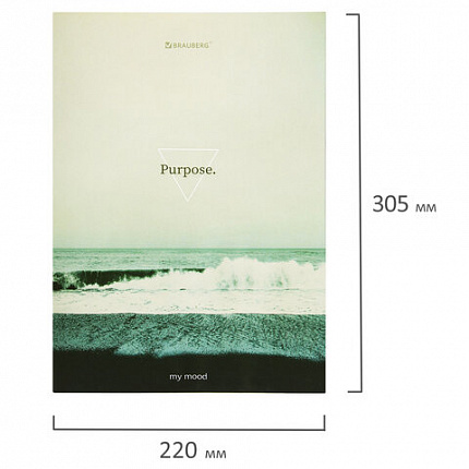 Тетрадь на кольцах БОЛЬШАЯ А4, 215х305 мм, 100 л., твердый картон, клетка, BRAUBERG, "Nature", 405411