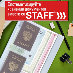 Папка-органайзер, обложка семейная для 2-х комплектов документов, А4, ПВХ, матовая, STAFF, 238873