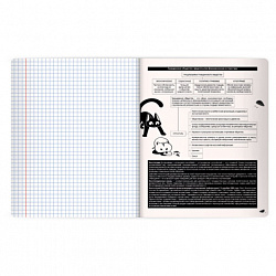 Тетрадь предметная КОТ-НЕПОСЕДА 48 л., пластиковая обложка, ОБЩЕСТВОЗНАНИЕ, клетка, подсказ, BRAUBERG, 405528