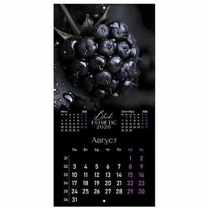 Календарь настенный перекидной 2026г, BRAUBERG, 12 листов, 28,5х28,5см, Black esthetic, 116927