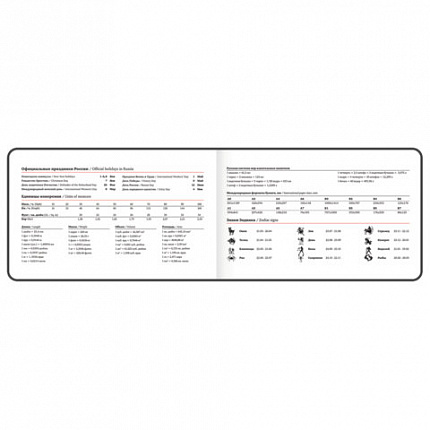 Еженедельник датированный 2026 МАЛЫЙ ФОРМАТ 105х160 мм, А6, BRAUBERG "Blaze", фольга, серый, 117218
