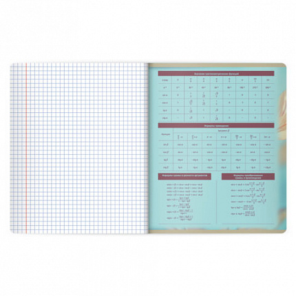 Тетради предметные, КОМПЛЕКТ 12 ПРЕДМЕТОВ 48л, пластиковая обложка, BRAUBERG "PURE NATURE", 405543