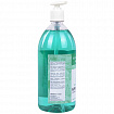Мыло-крем жидкое с АНТИБАКТЕРИАЛЬНЫМ ЭФФЕКТОМ 1 л ЗОЛОТОЙ ИДЕАЛ "Холодная мята", дозатор, 608285