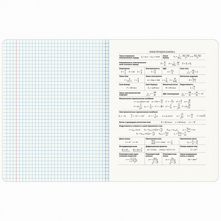 Тетрадь предметная МЕМЫ 48 л., TWIN-лак, ФИЗИКА, клетка, подсказ, BRAUBERG, 405106