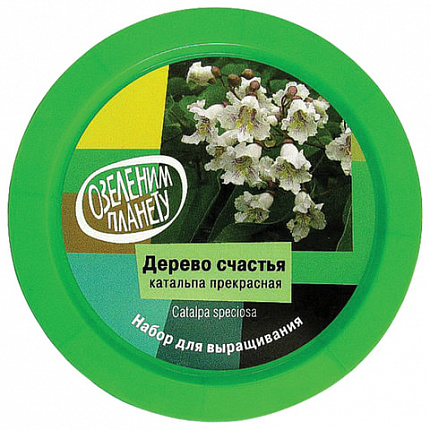 Набор для выращивания растений ВЫРАСТИ ДЕРЕВО! "Дерево счастья Катальпа" (банка, грунт, семена), zk-068