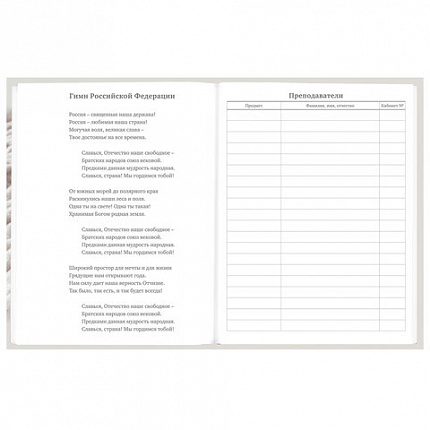 Дневник 5-11 класс 48 л., твердый, BRAUBERG, глянцевая ламинация, с подсказом, "Котик", 107188