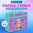 Папка на молнии с ручками BRAUBERG А4, 1 отделение, пластик, 80 мм, "Забавные котята", 273368
