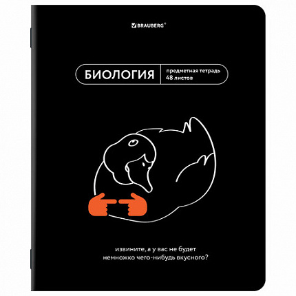 Тетради предметные, КОМПЛЕКТ 12 ПРЕДМЕТОВ, 48 л., TWIN лак, BRAUBERG "МЕМЫ", 405172