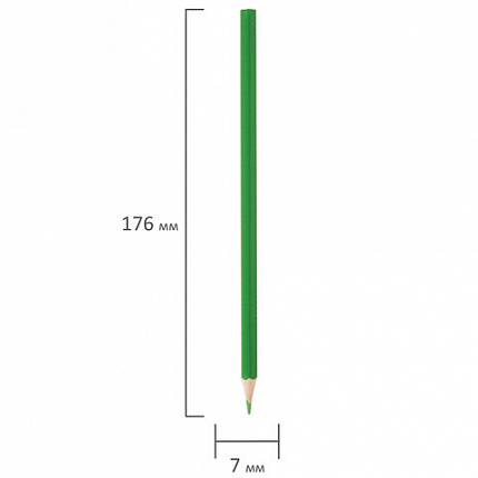 Карандаши цветные ПИФАГОР "Веселая такса", 24 цвета, классические, заточенные, 181808